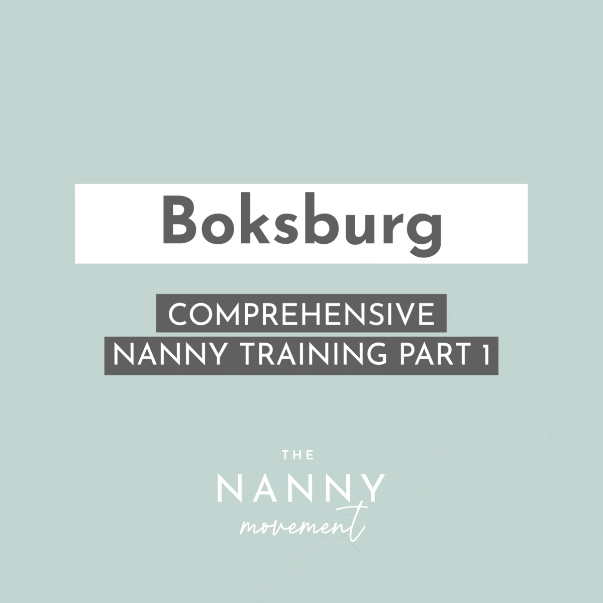 18 September - Boksburg Comprehensive Nanny Training Part 1