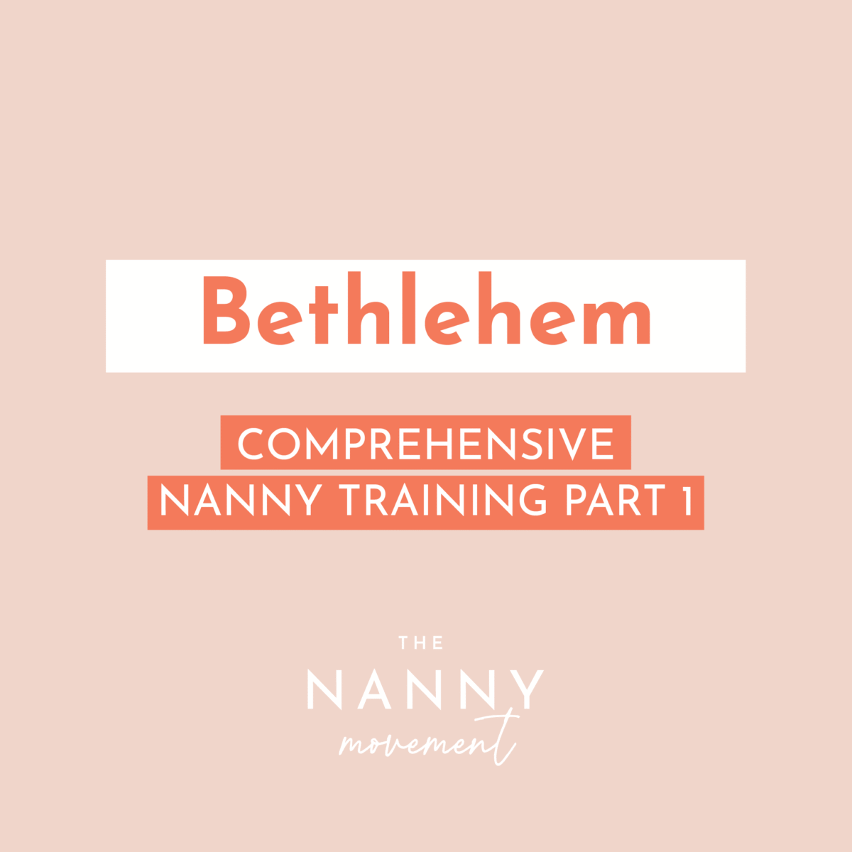 Nanny Training