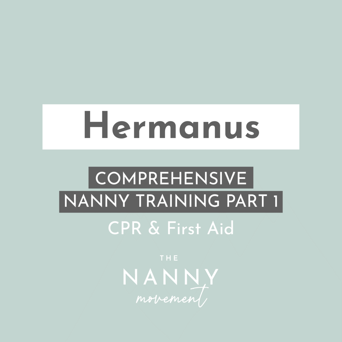 28 August - Hermanus Comprehensive Nanny Training Part 1 & CPR, choking & first aid