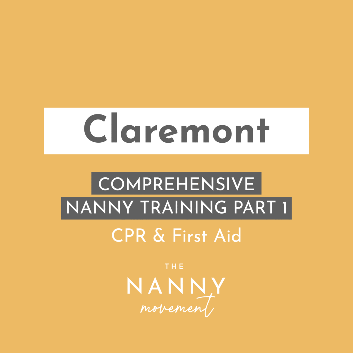 Nanny Training