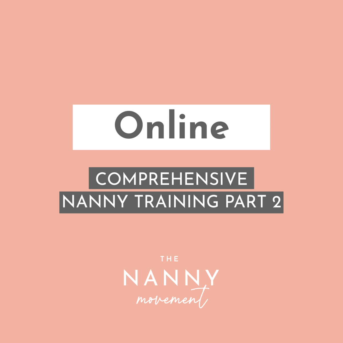 Nanny Training