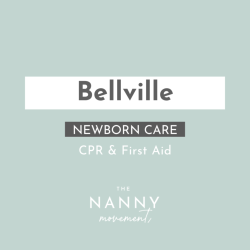 Nanny Training