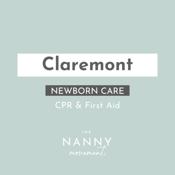 Nanny Training