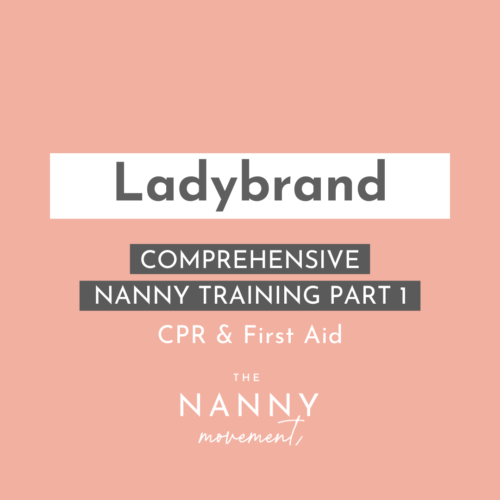Nanny Training