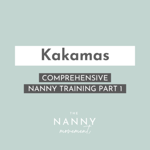 21 November - Kakamas Comprehensive Nanny Training Part 1