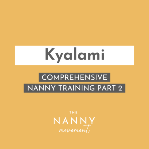 21 November - Kyalami Comprehensive Nanny Training Part 2