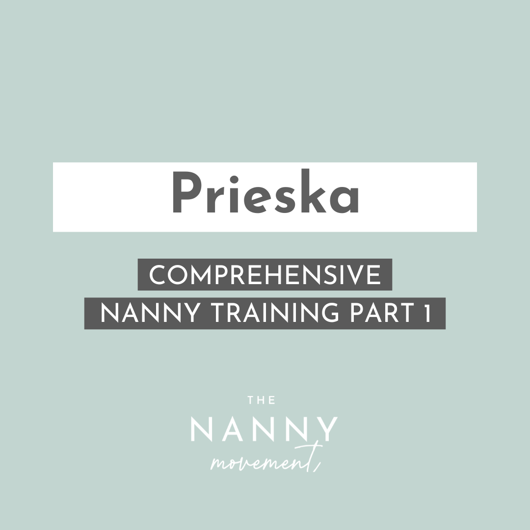 28 February - Prieska Comprehensive Nanny Training Part 1