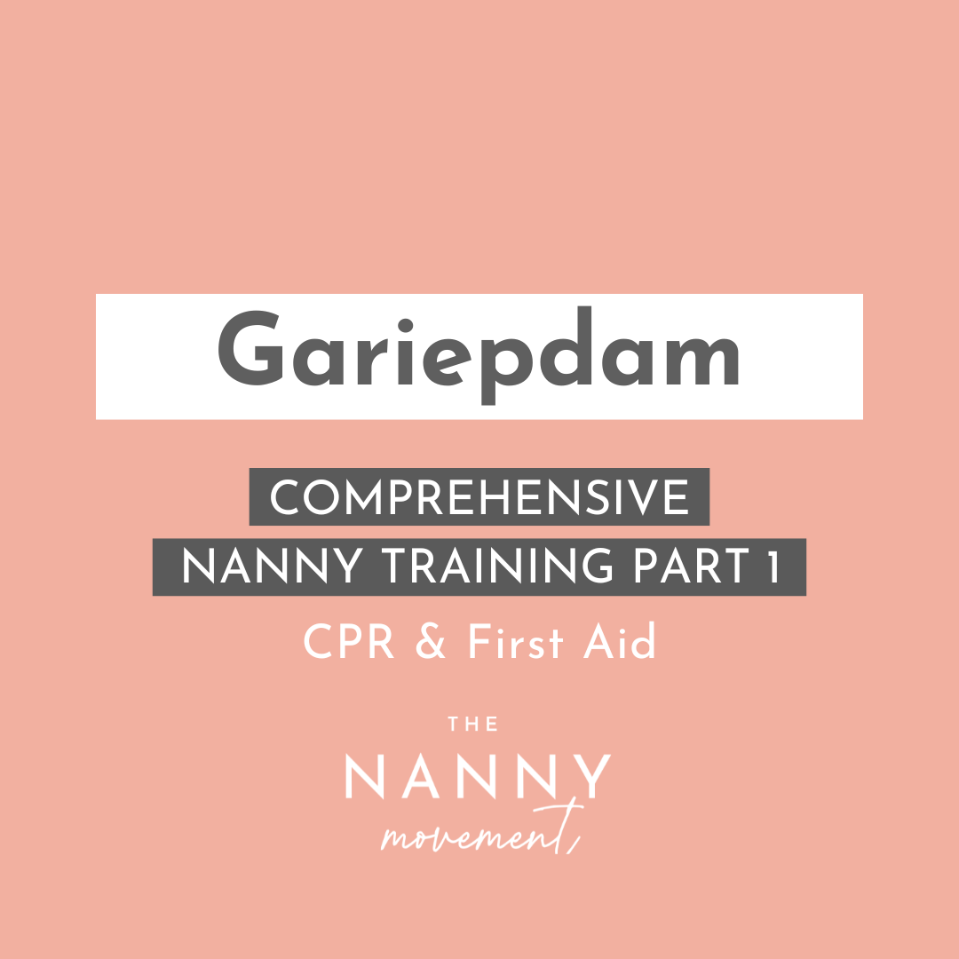 17 April - Gariepdam Comprehensive Nanny Training Part 1 & CPR, choking & first aid