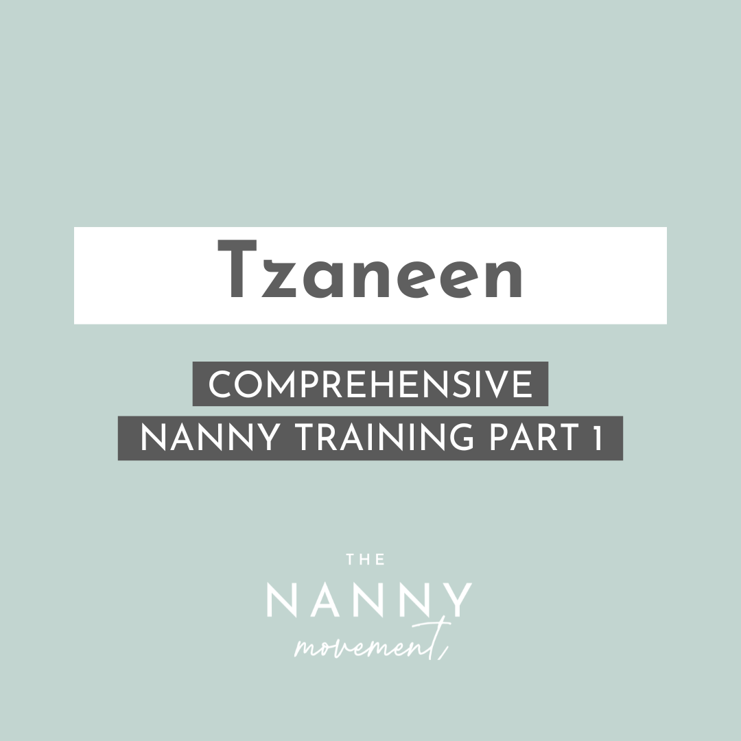 9 May - Tzaneen Comprehensive Nanny Training Part 1