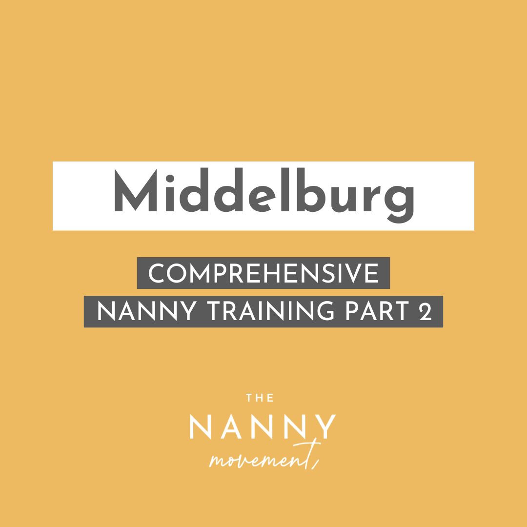 29 June - Middelburg Comprehensive Nanny Training Part 2