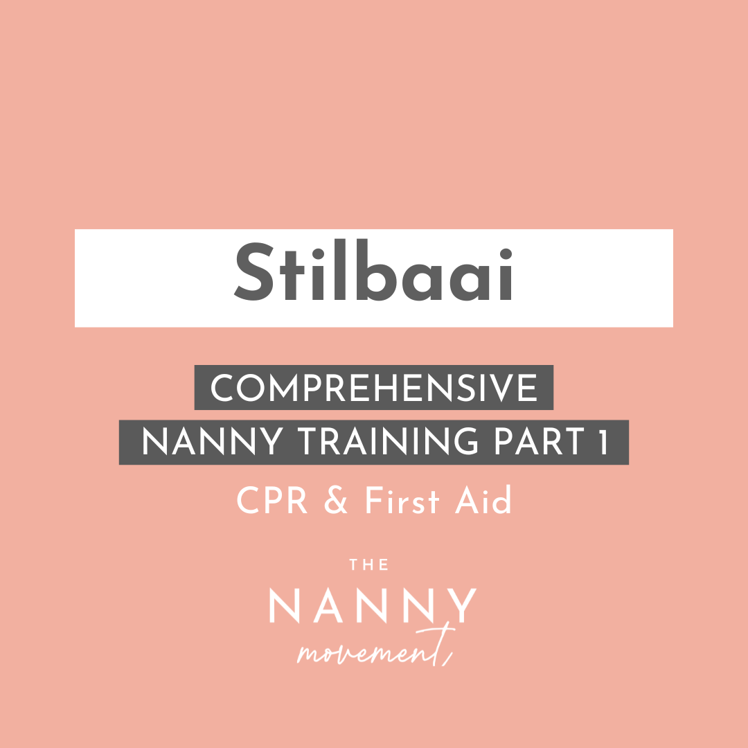 10 July - Stilbaai Comprehensive Nanny Training Part 1 & CPR, choking & first aid