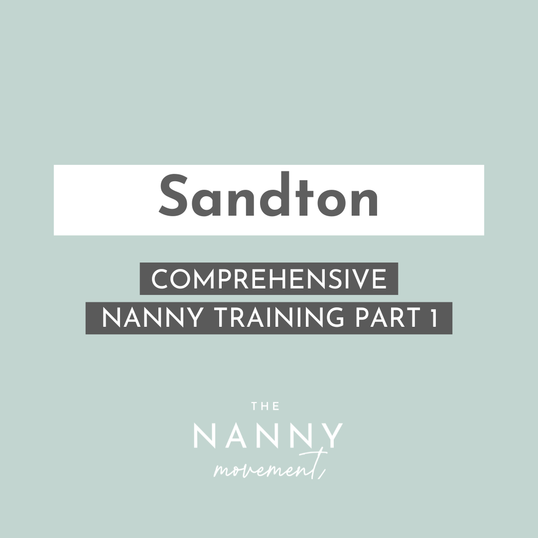 28 September - Sandton Comprehensive Nanny Training Part 1