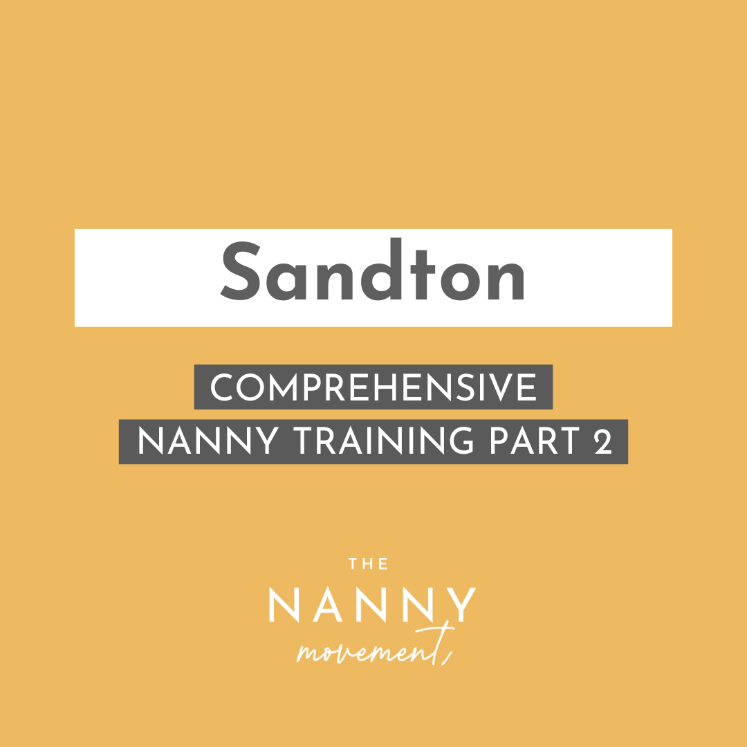 29 September - Sandton Comprehensive Nanny Training Part 2