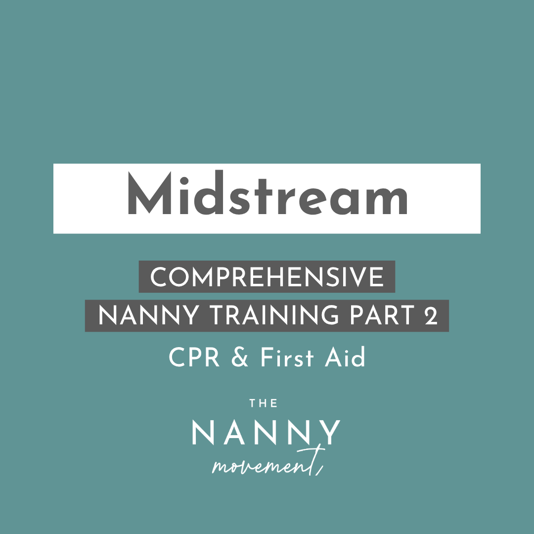 Nanny Training